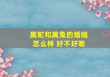 属蛇和属兔的婚姻怎么样 好不好呢